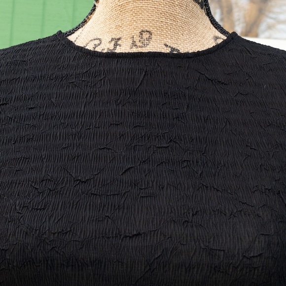 COPY - Eileen Fisher Black Sheer Crepe Midi Shift Dress - Picture 4 of 8